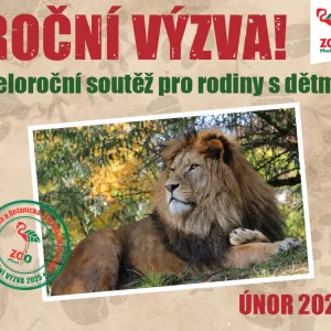 Plzeňská zoo zahajuje celoroční soutěž