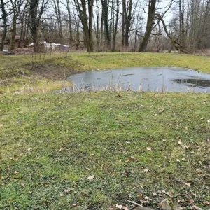 Lochotínský park v Plzni čeká další etapa revitalizace