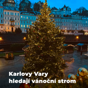 Karlovy Vary už také začaly hledat vánoční strom