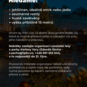 Karlovy Vary už také začaly hledat vánoční strom