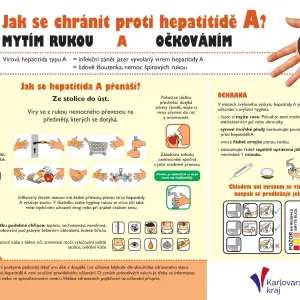 V Karlovarském kraji se šíří žloutenka