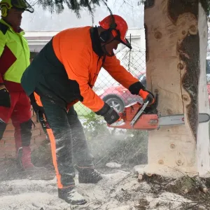 Tenhle fešák ozdobí vánoční Plzeň
