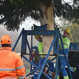 Tenhle fešák ozdobí vánoční Plzeň