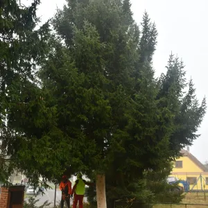 Tenhle fešák ozdobí vánoční Plzeň