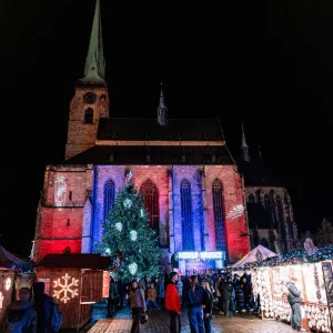 Fotbalová Plzeň myslí na druhé, tým vstoupil do Registru dárců kostní dřeně