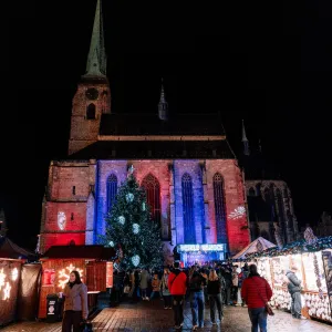 Fotbalová Plzeň myslí na druhé, tým vstoupil do Registru dárců kostní dřeně