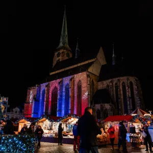 Fotbalová Plzeň myslí na druhé, tým vstoupil do Registru dárců kostní dřeně