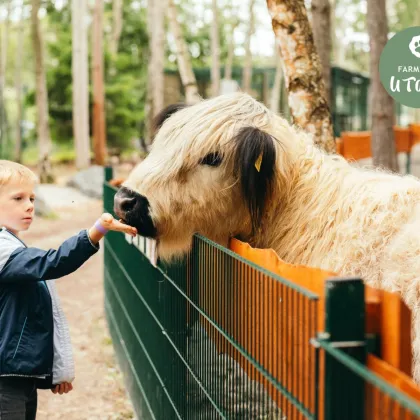Soutěž s Farmaparkem u Toma na Hitrádiu FM Plus!