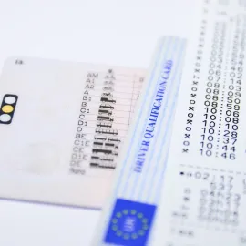 Tisíce řidičů v Plzeňském kraji musí řešit řidičák. Takhle to zvládnete za pár minut z domova