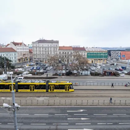 V centru Plzně začíná revitalizace sadů Pětatřicátníků