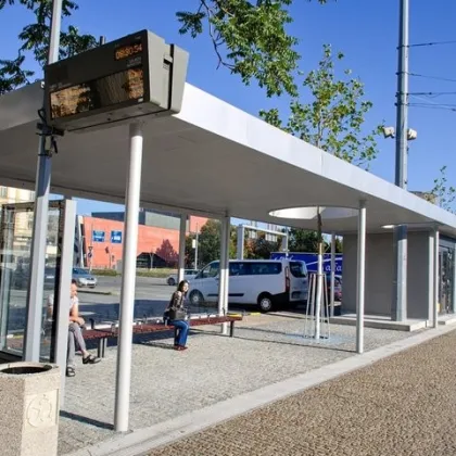 Sady Pětatřicátníků v Plzni jsou zelenější a modernější