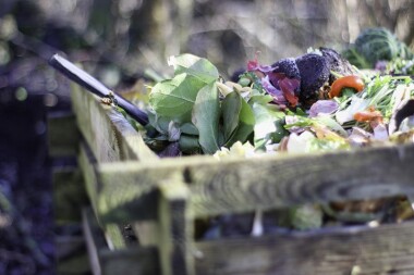 Plzeň bude mít svoji městskou kompostárnu