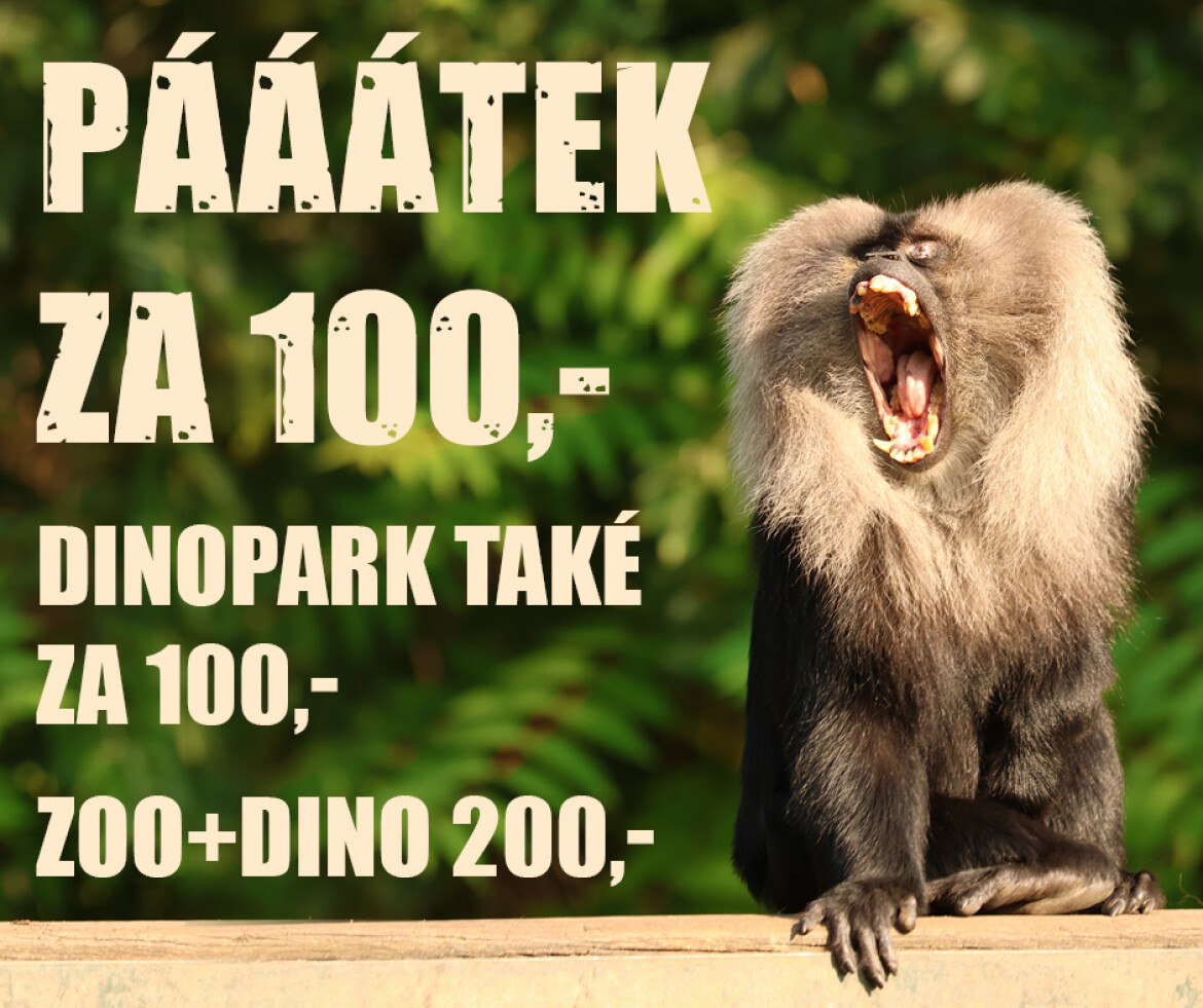 Vstupné do zoo jen za stovku!