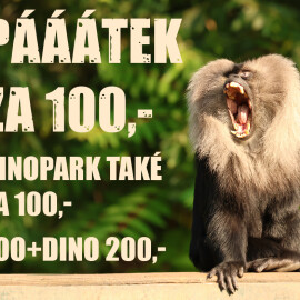 Vstupné do zoo jen za stovku!