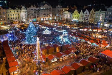 Plzeň hledá letošní vánoční strom