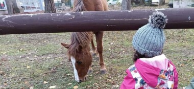 Centrum zvířat v karlovarské Staré Roli zůstává!