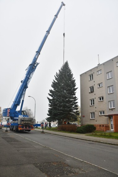 Plzeň má svůj vánoční strom