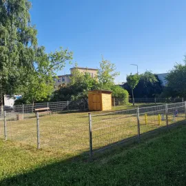 Králíci v Plzni mají své vlastní hřiště