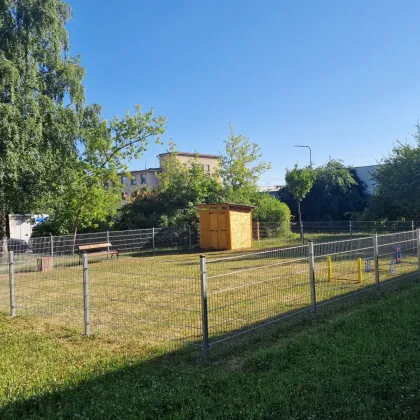 Králíci v Plzni mají své vlastní hřiště