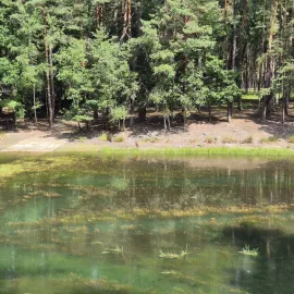 Nová aplikace přibližuje méně známá místa v Plzni