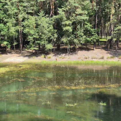 Nová aplikace přibližuje méně známá místa v Plzni