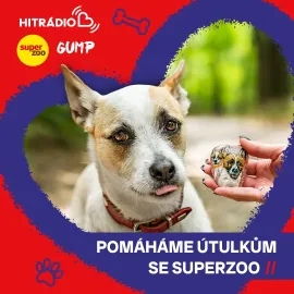 Připojte se ke kamínkové výzvě se Super zoo a pomozte opuštěným mazlíčkům