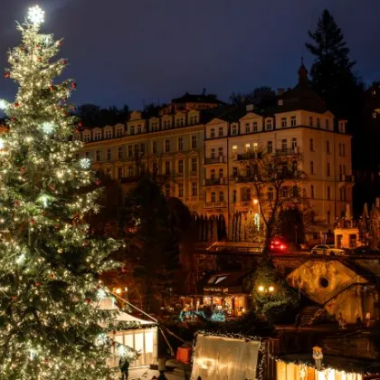Karlovy Vary už také začaly hledat vánoční strom