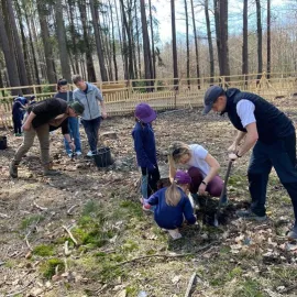 Den pro les: Přijďte sázet stromy na Zábělou