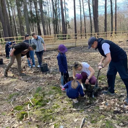 Den pro les: Přijďte sázet stromy na Zábělou