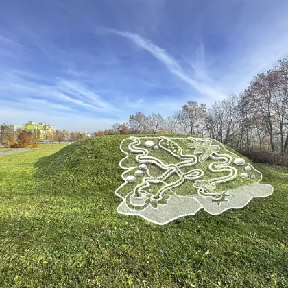 Plzeňská Jednička opět vybírá projekty pro vylepšení obvodu