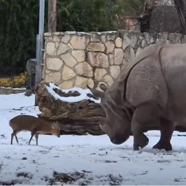 VIDEO: Dovádění Marušky z Plzně je hitem internetu :)