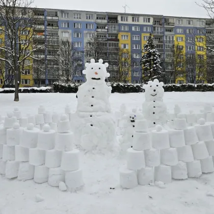 Hledá se mistr sněhuláků!