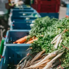 Sezóna farmářských trhů je tady